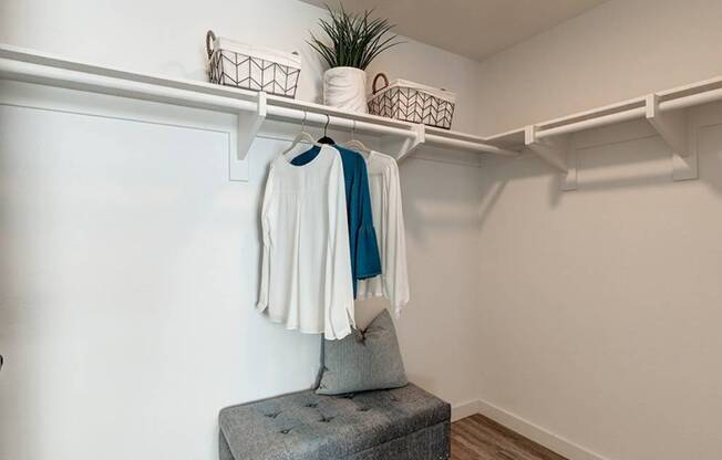 Large Closet Space at Haven at La Mesa, San Diego