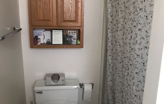 Studio, 1 bath, $1,000