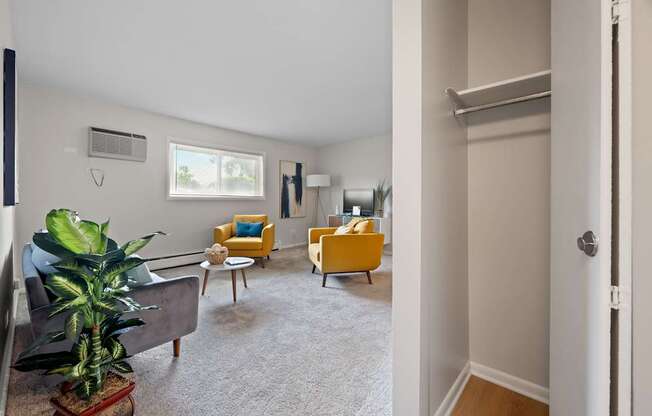 A living room with a grey couch and a green plant.