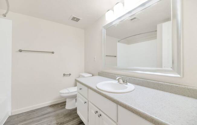 a bathroom with a sink toilet and mirror