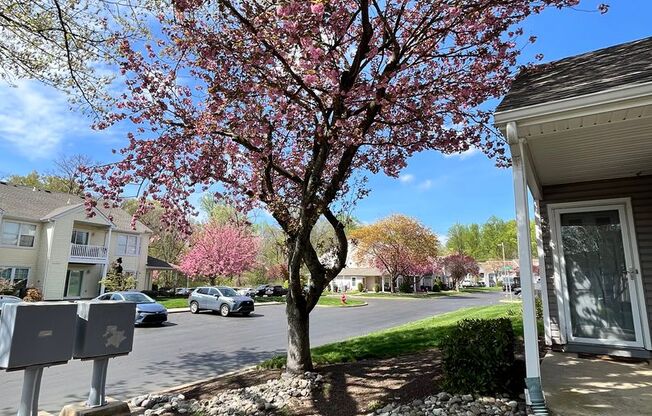 2 Bed 2 Bath Condo in Council Rock School District