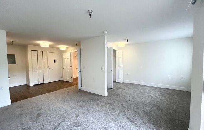 Studio, 1 bath, 480 sqft, $1,395, Unit 222