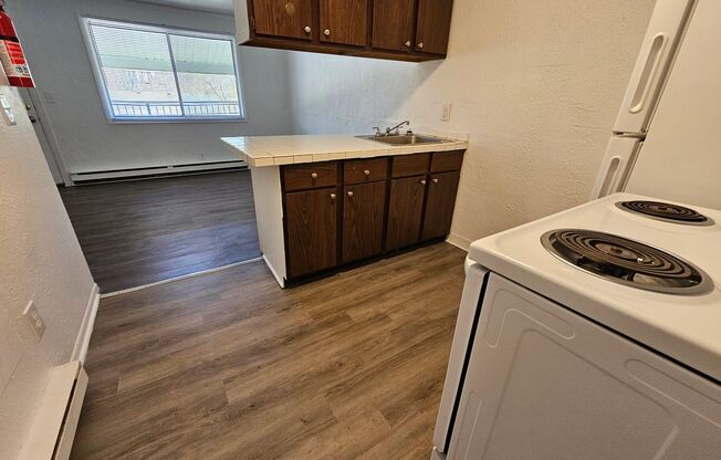 1 bed, 1 bath, 475 sqft, $650, Unit WP-231