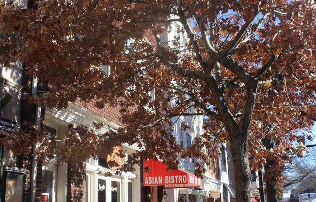 809-809 1/2 King St &amp; 103 1/2 N. Alfred Street