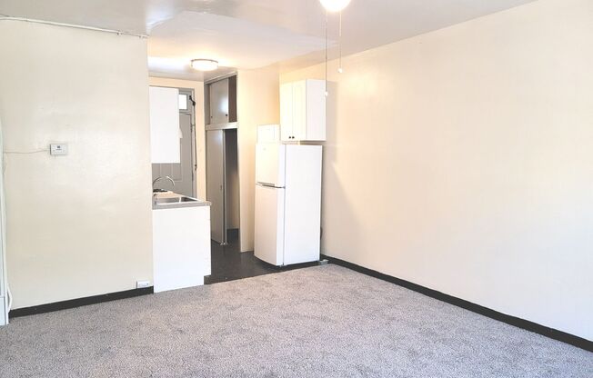 Studio, 1 bath, $795, Unit 303