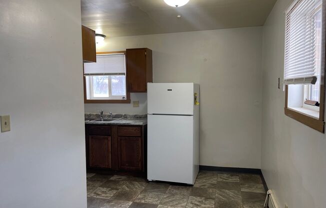 1 bed, 1 bath, 465 sqft, $595, Unit 1119-102