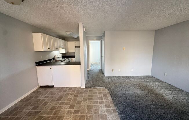 1 bed, 1 bath, $1,125, Unit 45