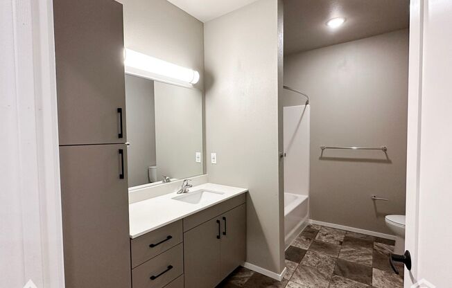 Studio, 1 bath, 558 sqft, $925, Unit 5521-5214