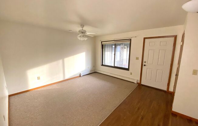 1 bed, 1 bath, 430 sqft, $800, Unit 15