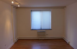 Studio, 1 bath, 400 sqft, $1,175, Unit 101