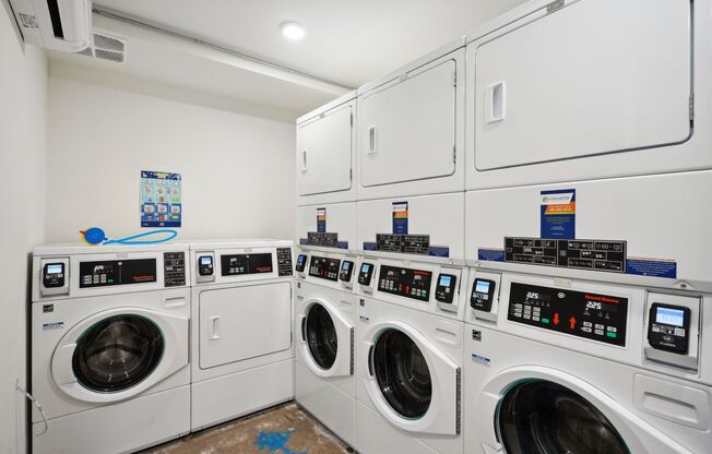 Studio, 1 bath, 250 sqft, $1,350, Unit 101