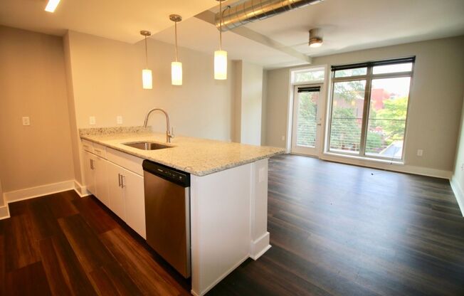 1 bed, 1 bath, 531 sqft, $1,495, Unit APT 203