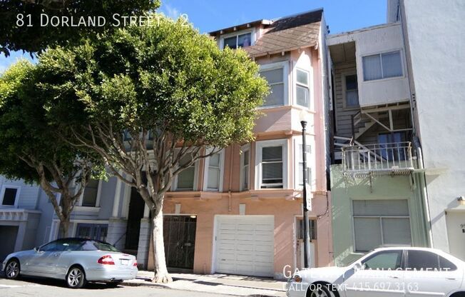 81 Dorland Street