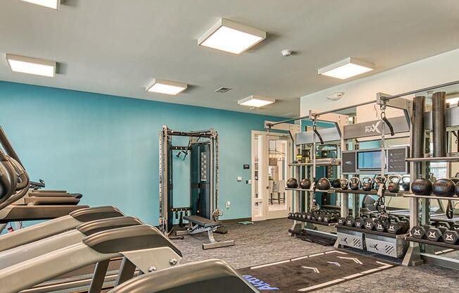 Fitness Center at Sapphire at Centerpointe, Virginia, 23114