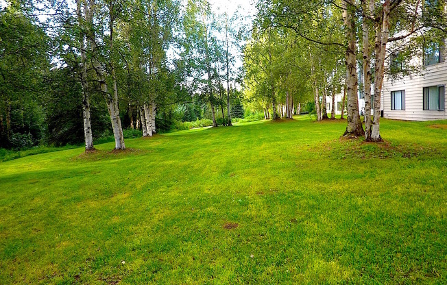 Deluxe One Bedroom with Office on Campbell Creek