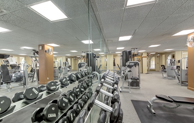 1 bed, 1 bath, $2,195, Unit # 229