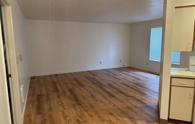 1 bed, 1 bath, 730 sqft, $1,295