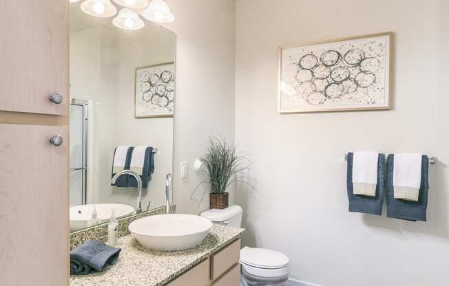 Spacious Bathrooms with Raised Bowl Bathroom Sinks at Aventura at Forest Park, Missouri
