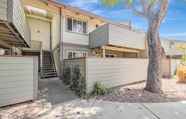 A tree is in front of a two-story house.