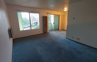 1 bed, 1 bath, $1,000, Unit # #C