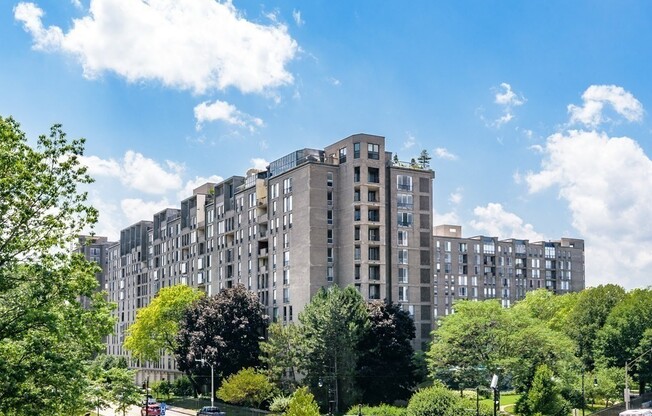 1 bed, 1 bath, 735 sqft, $3,000, Unit 517