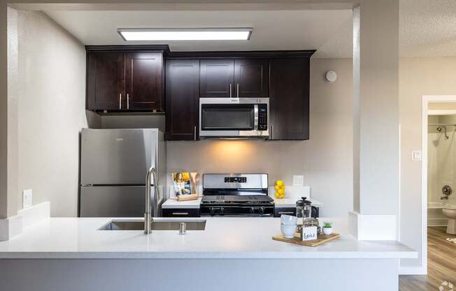 A modern kitchen with dark brown cabinets and stainless steel appliances.