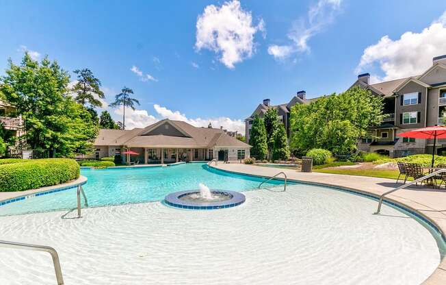 Lagoon Style Pool