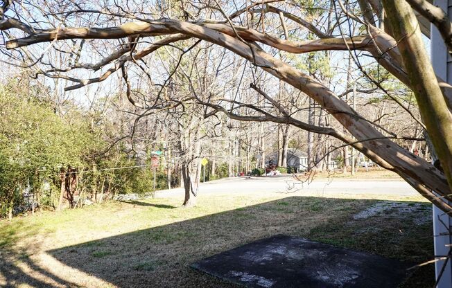 Cozy 3 Bedroom Downtown Apex Home