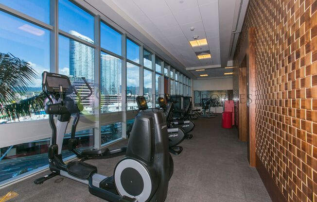 1 bed, 1 bath, $3,200