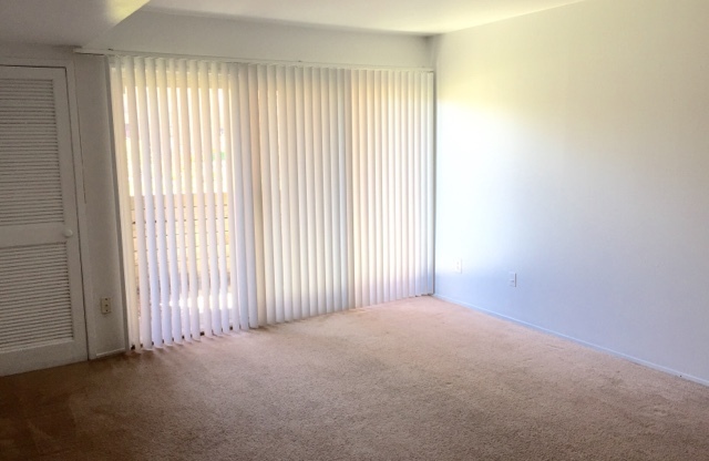 1 bed, 1 bath, 700 sqft, $1,095, Unit #101