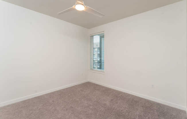 Carpeted Bedroom