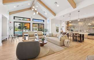 A living room with a grey sofa and a brown rug.