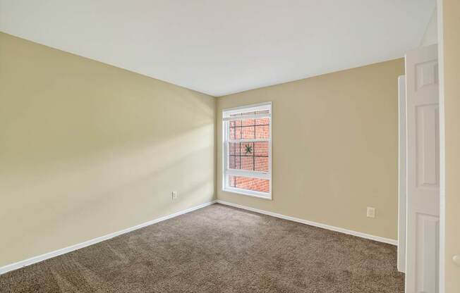 A room with a window and a carpeted floor.