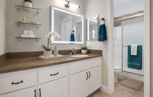 1 bed, 2 baths, 1,000 sqft, $3,695, Unit 321