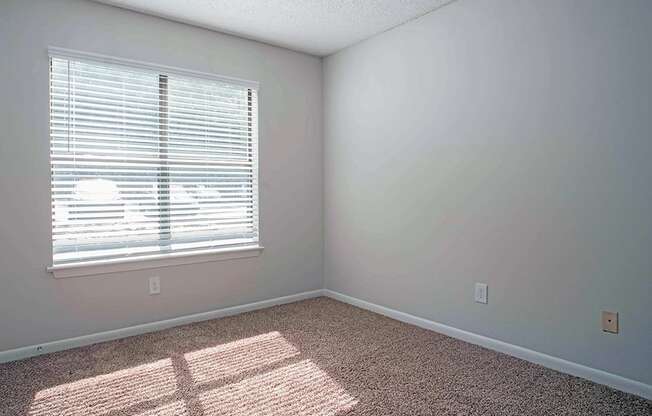 an empty room with a window and a carpet