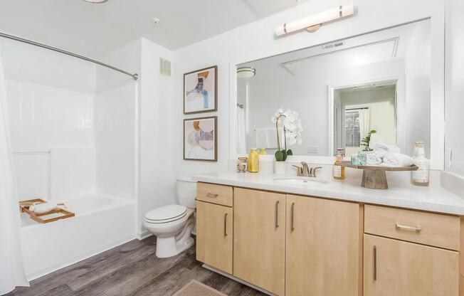 Single Vanity and Soaking Tub