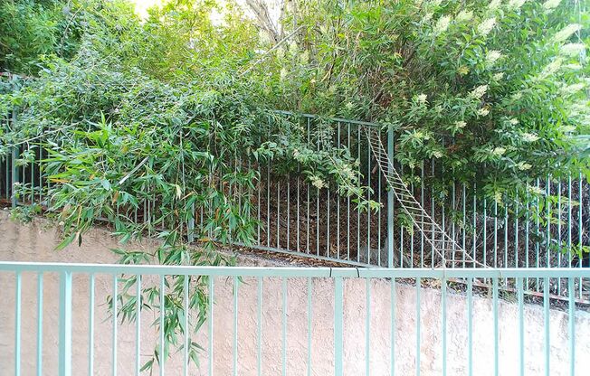 2 beds, 2 baths, 910 sqft, $2,950, Unit 215