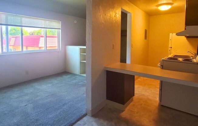 Studio, 1 bath, $1,125, Unit 35