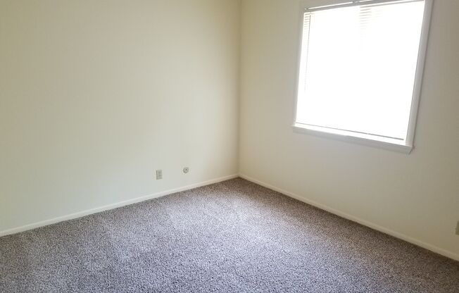 A room with a carpeted floor and a window letting in sunlight.