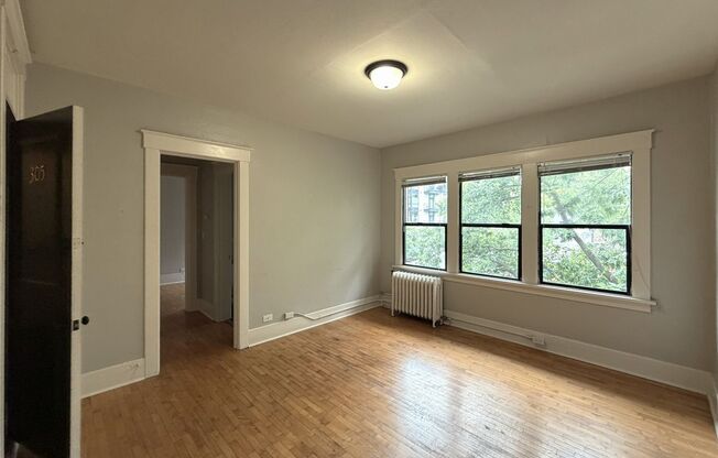 1 bed, 1 bath, 487 sqft, $1,200, Unit 305