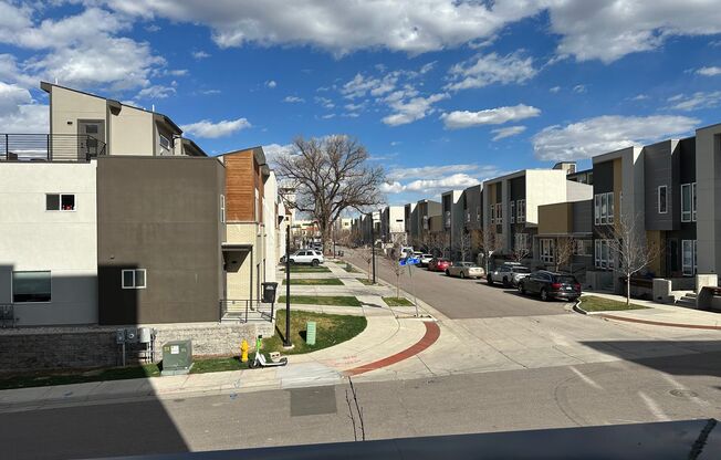 2 beds, 2 baths, 917 sqft, $2,450, Unit 216