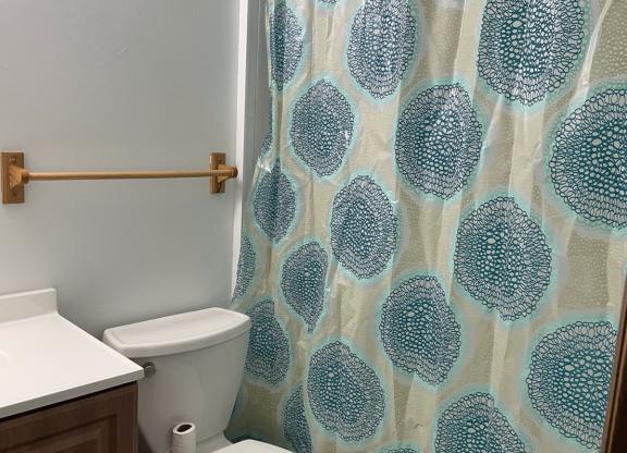 1 bed, 1 bath, 1,000 sqft, $700