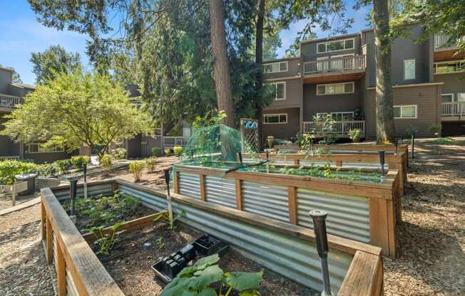 Community garden at Larkspur West Linn, West Linn