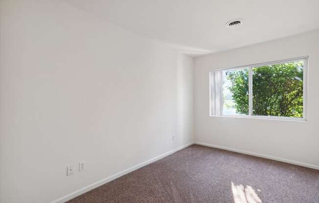 Bedroom with Large Window