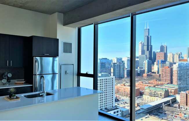 penthouse kitchens at One 333, Chicago, 60605