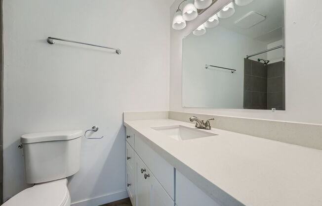 1 bed, 1 bath, 700 sqft, $1,695, Unit Unit 315