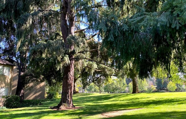 1 bed, 1 bath, 625 sqft, $1,388, Unit 0076