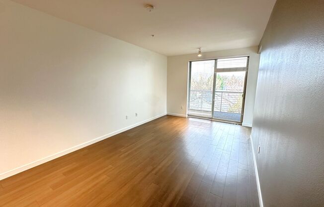 1 bed, 1 bath, 524 sqft, $1,519, Unit 101