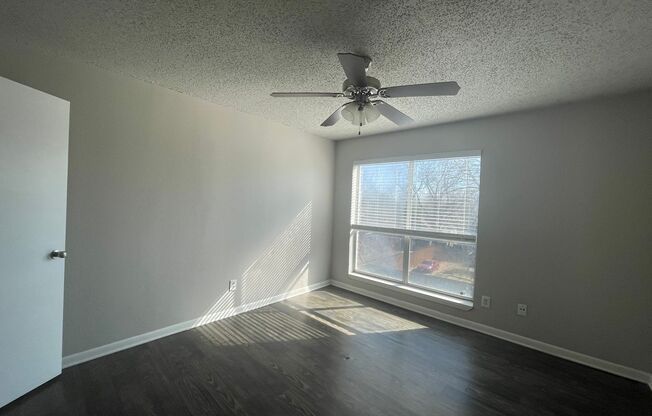 1 bed, 1 bath, 567 sqft, $900, Unit 316