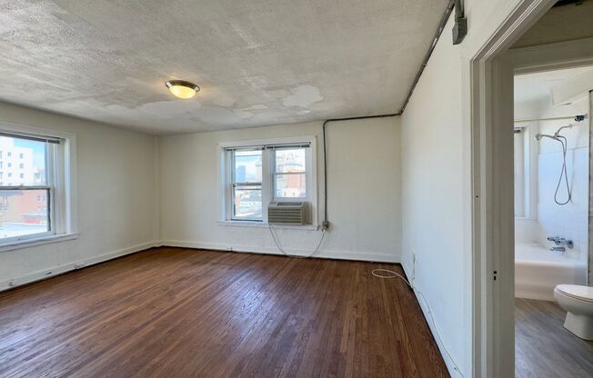 Studio, 1 bath, 350 sqft, $745, Unit 307
